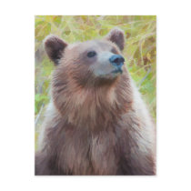 European Brown Bear in Bern Bear Park Postcards
