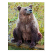 European Brown Bear in Bern Bear Park postcards