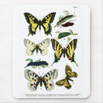 European Butterflies Plate I Mousepad by vintage_emporium European Butterflies Plate I Mousepad