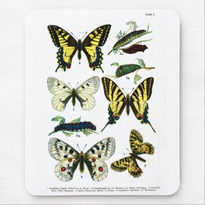 European Butterflies Plate I Mousepad by vintage_emporium