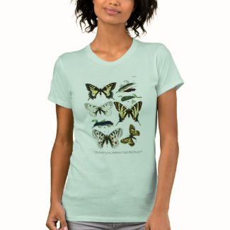 European Butterflies Plate I T-Shirt