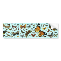 European Butterfly Collage bumper stickers by FlutterByButterfly European Butterfly Collage bumper stickers