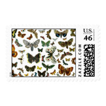European Butterfly Collage Postage