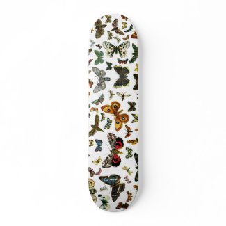 European Butterfly Collage skateboard