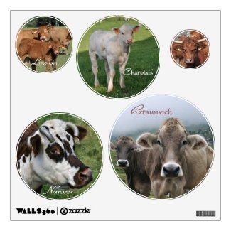 European cattle breeds wall skin
