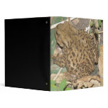 European Common Toad Binder