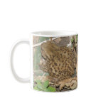 European Common Toad Coffee Mug