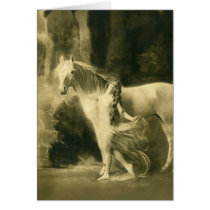 European Euqine Photo Art 7 Card