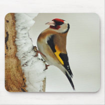 European Goldfinch in snow mousepad