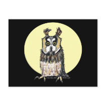 European Owl Postcard postcards