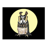 European Owl Postcard