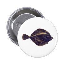 European Plaice buttons