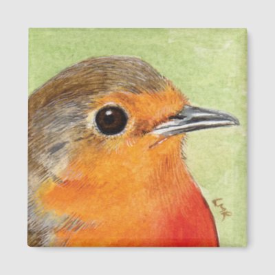 European Robin Bird