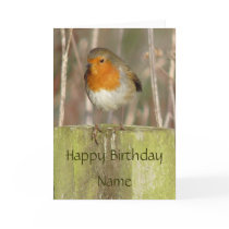 "European Robin-Bird Northumberland England" Greeting Card