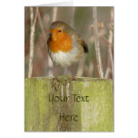"European Robin-Bird Northumberland England" Greeting Cards