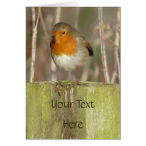 "European Robin-Bird Northumberland England" Greeting Cards