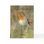 "European Robin-Bird Northumberland England" cards