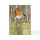 European Robin Christmas Card
