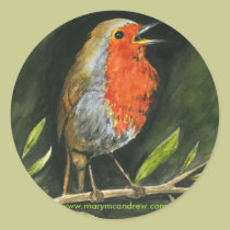 European Robin - England Bird Stickers stickers