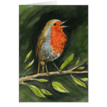 European Robin Greeting Cards