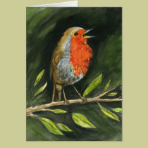 European Robin cards