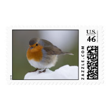 European Robin in snow stamps
