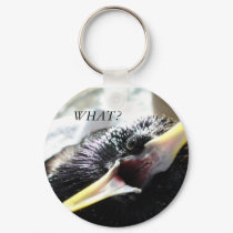 European Starling Keychain