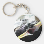 European Starling Keychain
