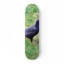 European Starling Custom Skate Board