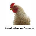 Euskal Oiloas are Awesome Rooster bag