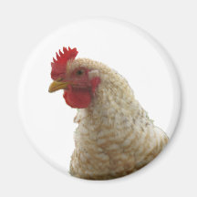 Euskal Oiloas are Awesome Rooster Fridge Magnet