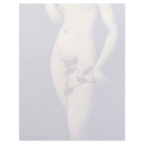 Eva By Cranach D. Ä. Lucas (Best Quality) Letterhead Design