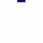 EVAISIS Blue-White, T-Shirt