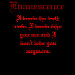 Evanescence, Shirts