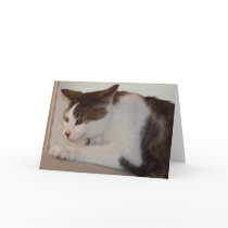 Even a Good Cat can have a Bad Day! cards by JoanneLMcGonagle Even a Good Cat can have a Bad Day! cards