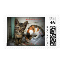 Even Angels Need A Home postage