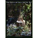 Even Nature Can Have A Bad Hair Day! Gifts Apparel card