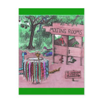 Even snakes eventually shed. Snake skin store postcards