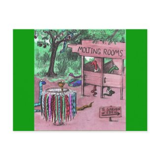 Even snakes eventually shed. Snake skin store postcard