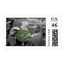 Even The Leaves Are Crying postage