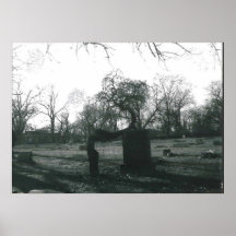 Even the willow weeps print