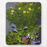 Evening Basket Mousepad
