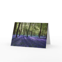 Evening Bluebells Card