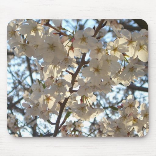 Evening Cherry Blossoms I Mousepad