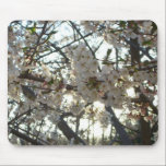 Evening Cherry Blossoms II Mousepad