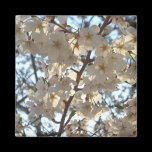 Evening Cherry Blossoms Magnet