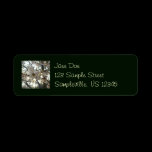 Evening Cherry Blossoms Return Address Label
