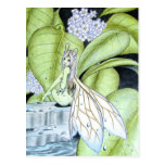 'Evening Dew' collectible postcard