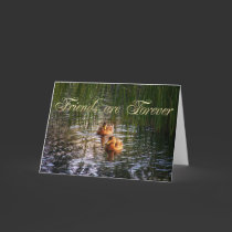 Evening Ducks - Friends Are Forever! cards