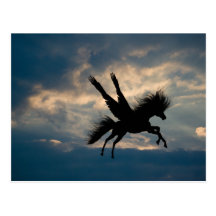 Evening Flight Postcard